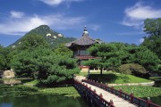 2026 CBA 联赛商业价值报告：国货品牌赞助额创新高。，cba产品